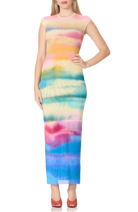 Mylo Print Mesh Maxi Dress