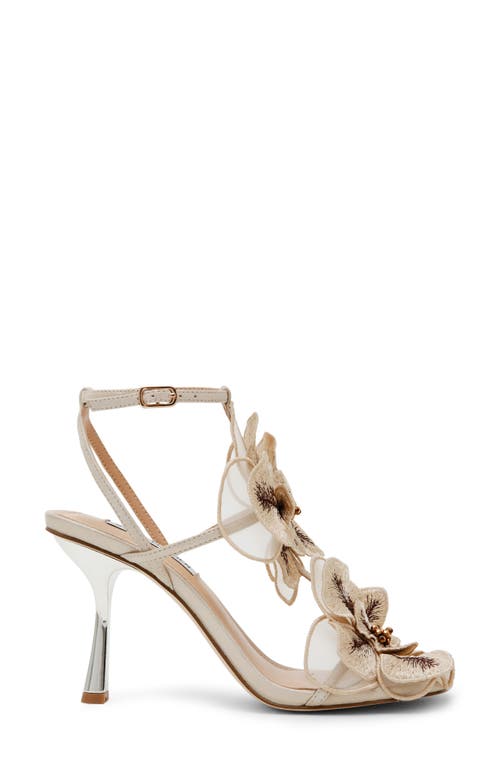 Steve Madden Aries Ankle Strap Sandal In Gold