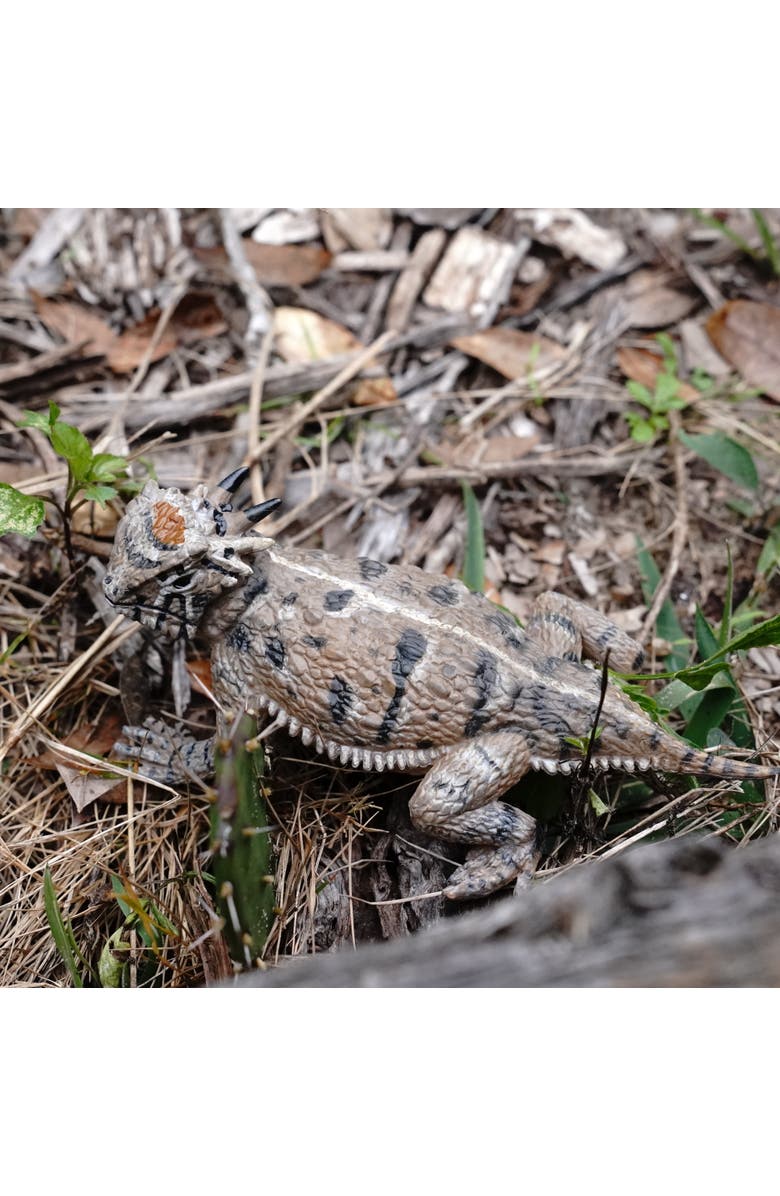 Safari Ltd. Horned Lizard Toy, Alternate, color, NO COLOR