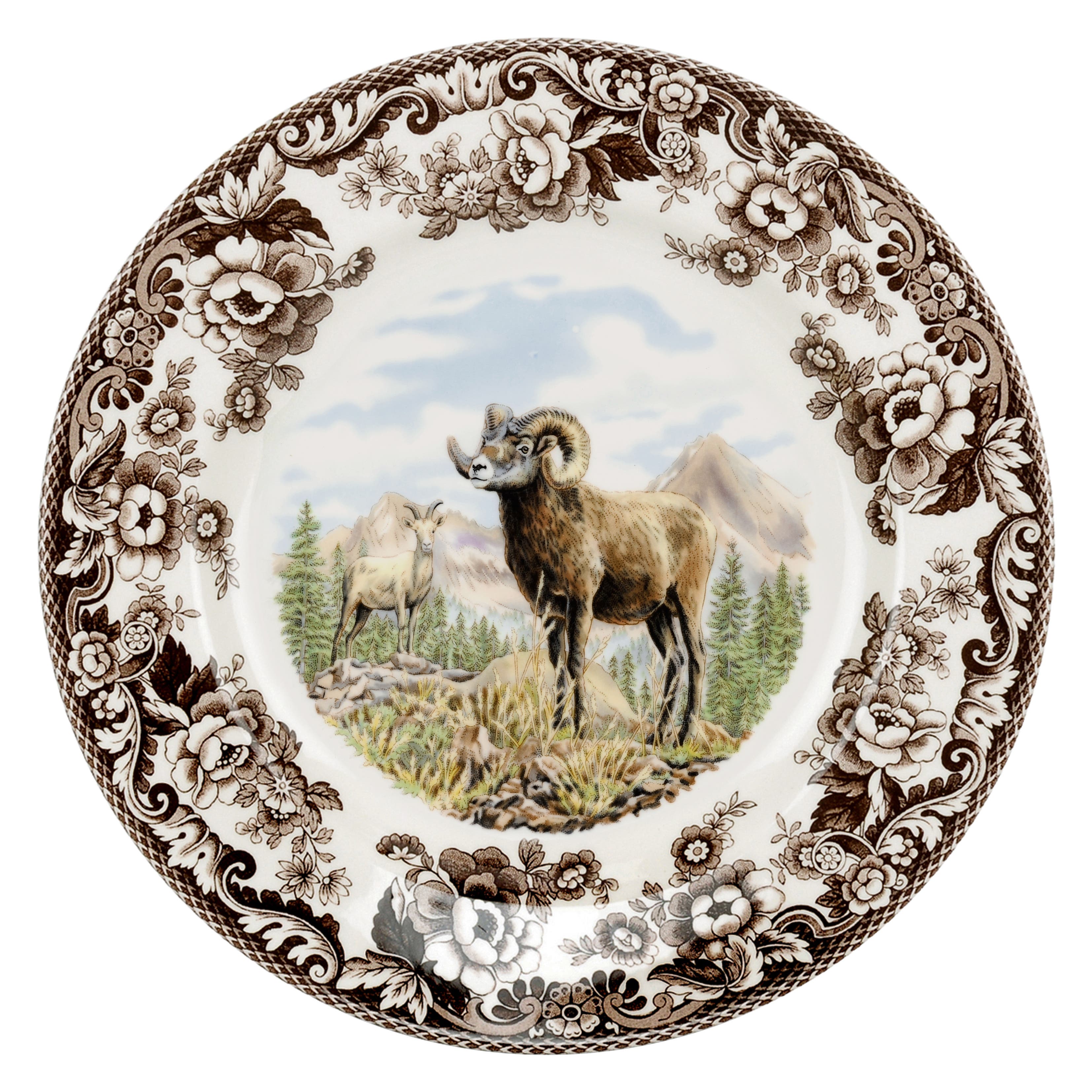 Sheep