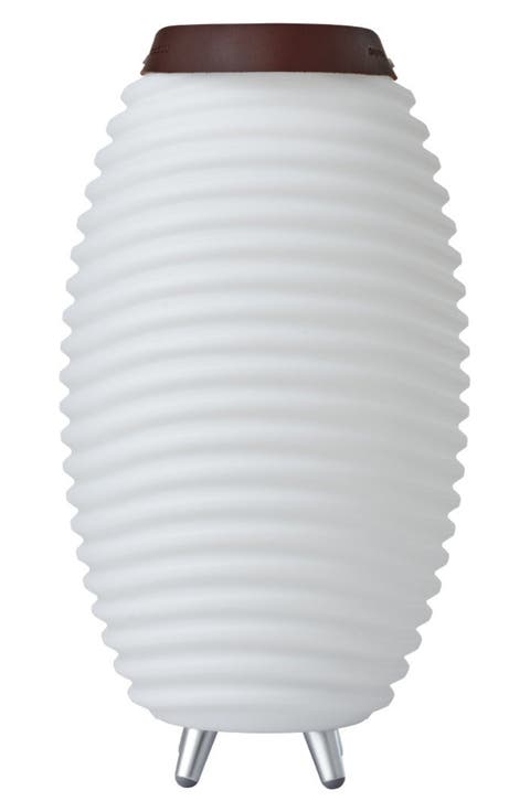 Synergy 50-Inch Floor Lamp