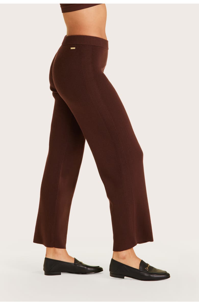 ALALA Spencer Knit Trouser, Alternate, color, Coffee