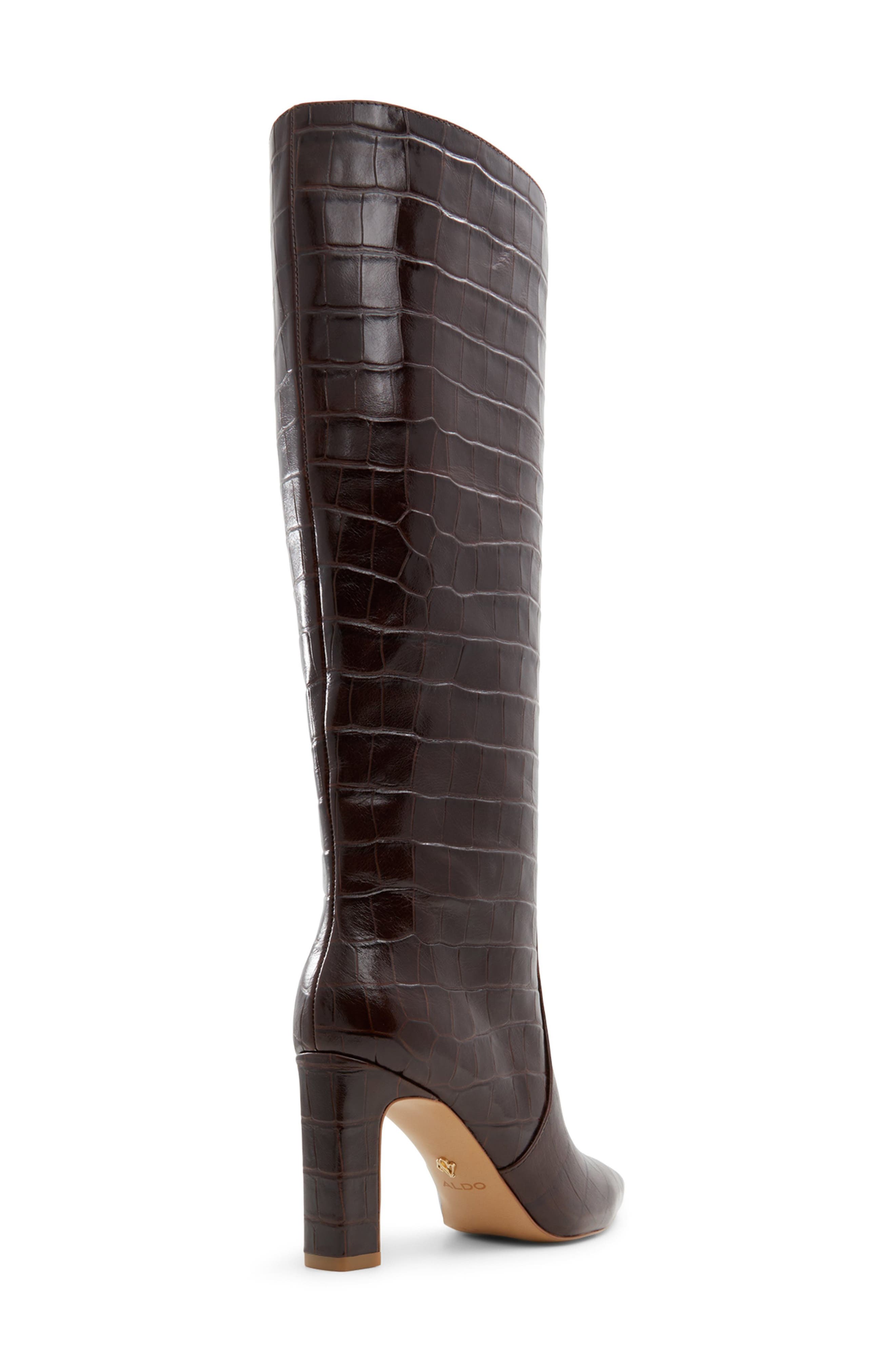 ALDO Cadigoder Pointed Toe Knee High Boot, Alternate, color, Dark Brown