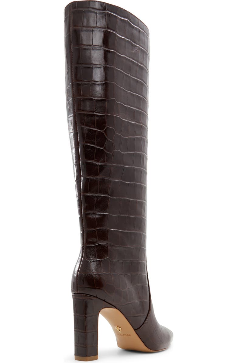 ALDO Cadigoder Pointed Toe Knee High Boot, Alternate, color, Dark Brown