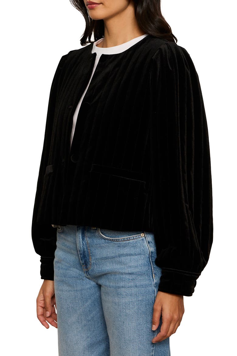 Pepper Velvet Jacket, Alternate, color, BLACK
