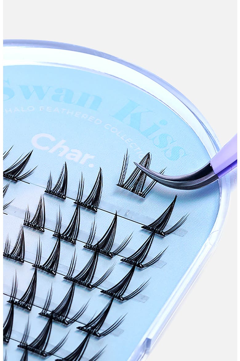 Halo Feathered Collection Pre-Glued 5 to 10 Days Wear Lashes, Alternate, color, Swan Kiss