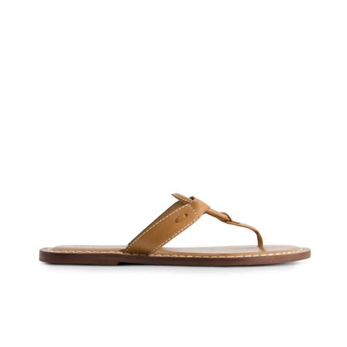 Shop Bernardo Footwear Matrix 2 Thong Sandal In Luggage