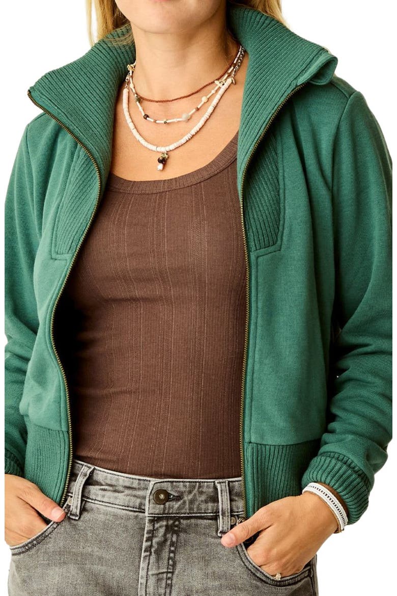 Briar Fleece Jacket, Alternate, color, Bistro