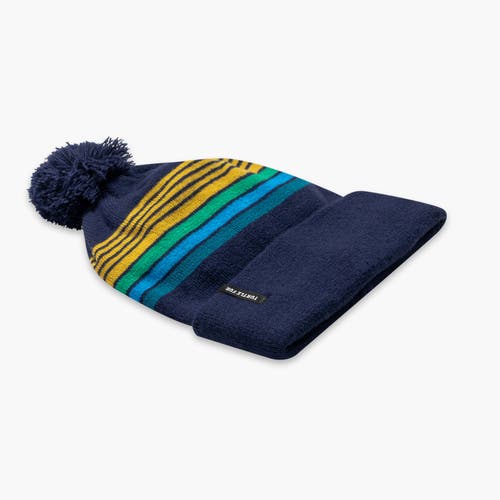 Turtle Fur Youth Omega Winter Hat In Blue