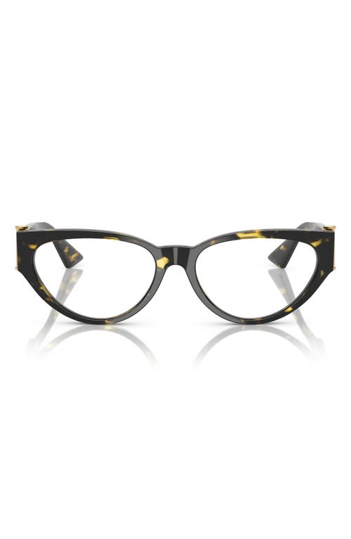 Versace 55mm Cat Eye Optical Glasses In Havana