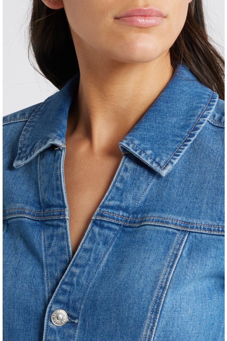 Greta Long Sleeve Denim Cargo Dress, Alternate, color, VIANNA
