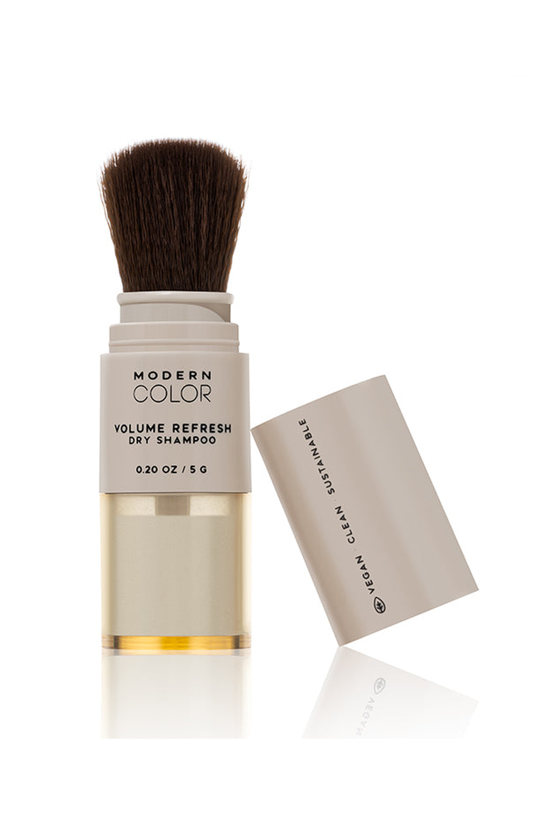 Volume Refresh Dry Shampoo, Main, color, Powder Brush