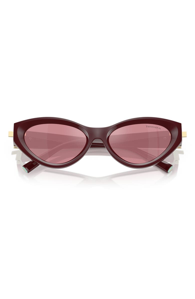 Tiffany & Co. 54mm Oval Sunglasses, Alternate, color, Burgundy