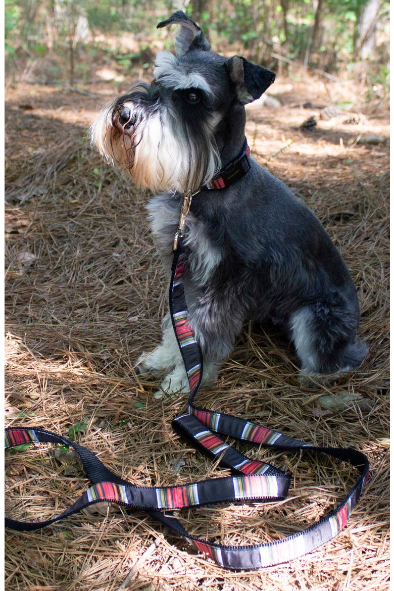 Acadia Dog Collar, Alternate, color, ACADIA