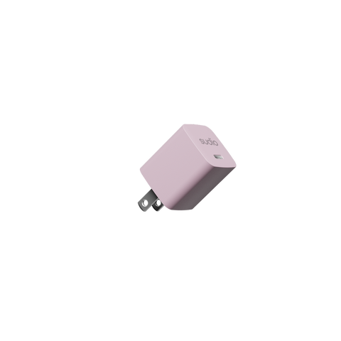 P1 25W Plug