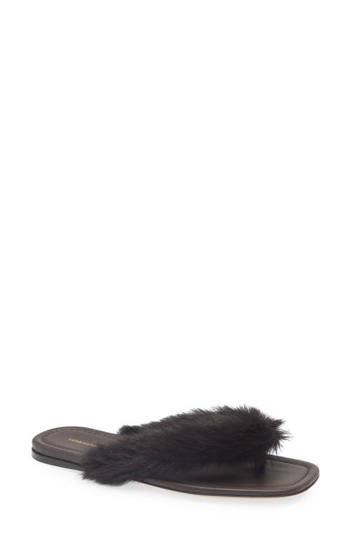 Ferragamo Loly Genuine Shearling Flip Flop In Brown