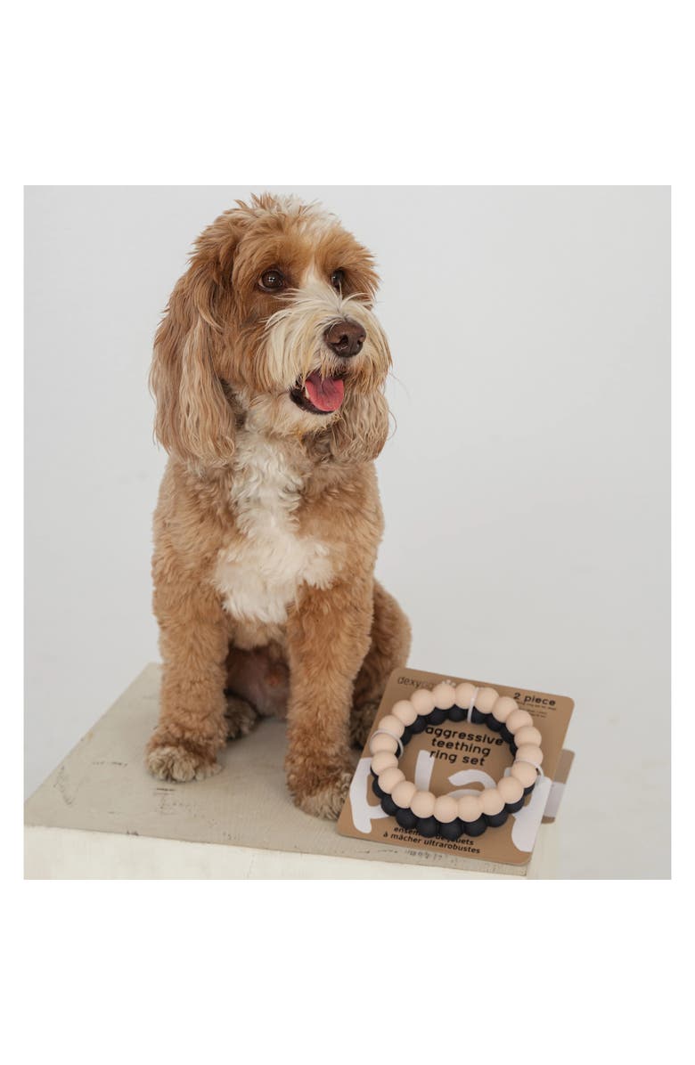 Dexypaws Super Chew Rings 2 Piece Dog Teething Toys, Alternate, color, Beige