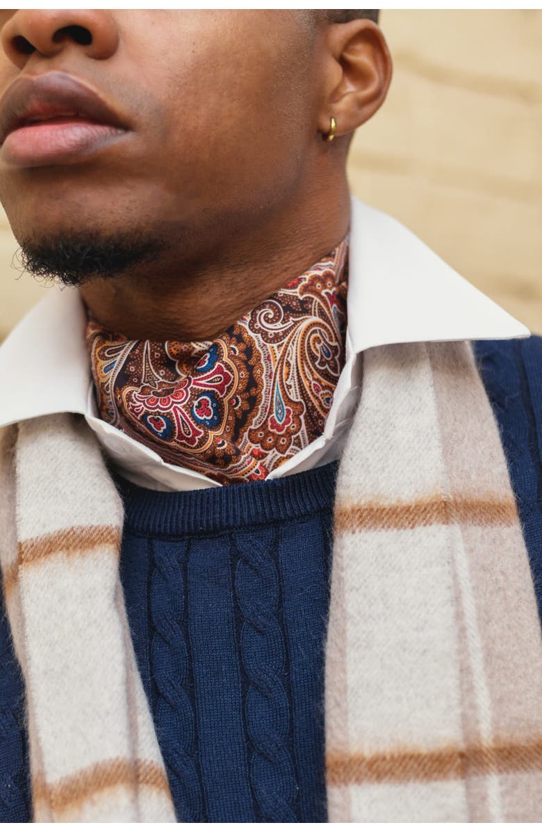 Elizabetta Bugatti - Silk Ascot Cravat Tie for Men, Alternate, color, Mahogany