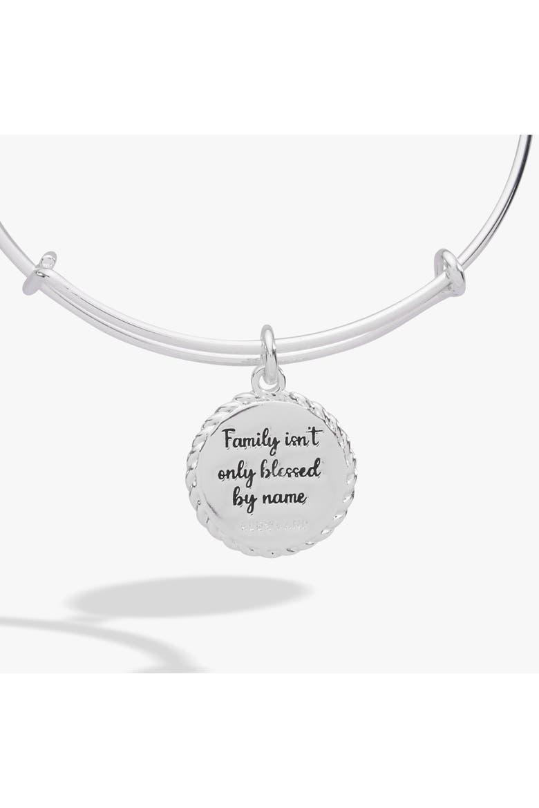 BILY Bonus Mom EWB, Alternate, color, Silver