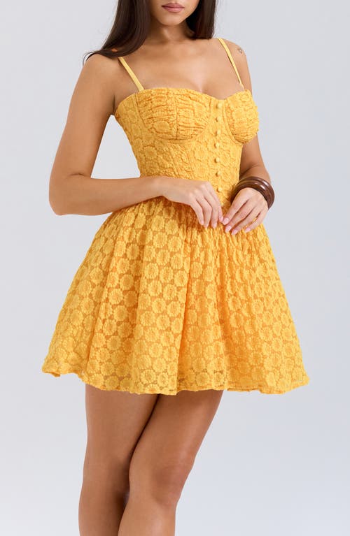 Shop House Of Cb Carolina Stretch Lace Corset Minidress In Apricot
