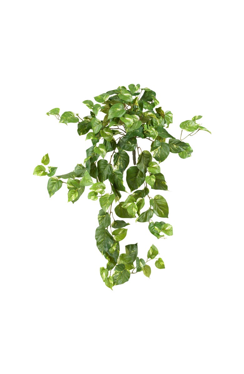 NEARLY NATURAL 40-in Pothos Hanging Bush, Main, color, Green