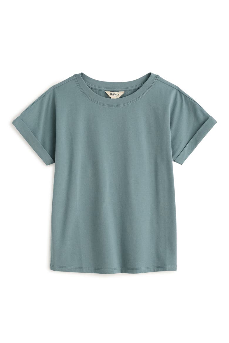 Porthzennor Organic Cotton T-Shirt, Alternate, color, LICHEN