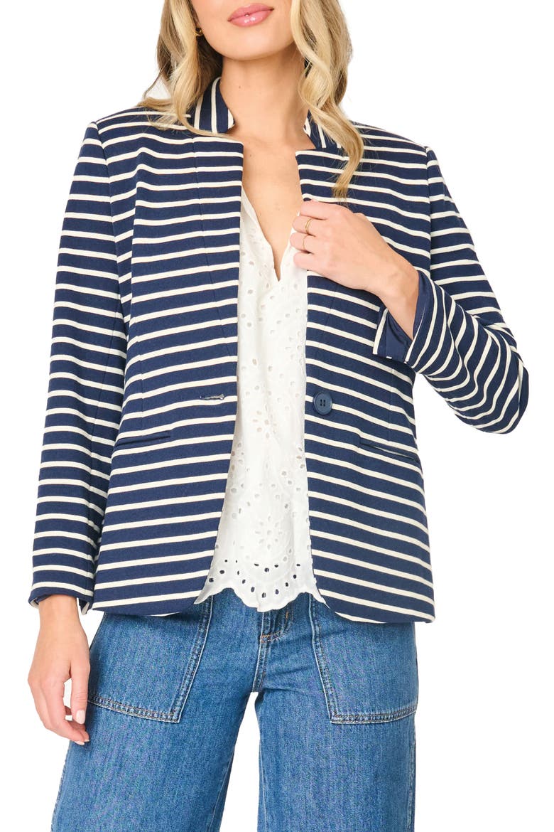Stripe Knit Blazer, Alternate, color, NAVY STRIPE