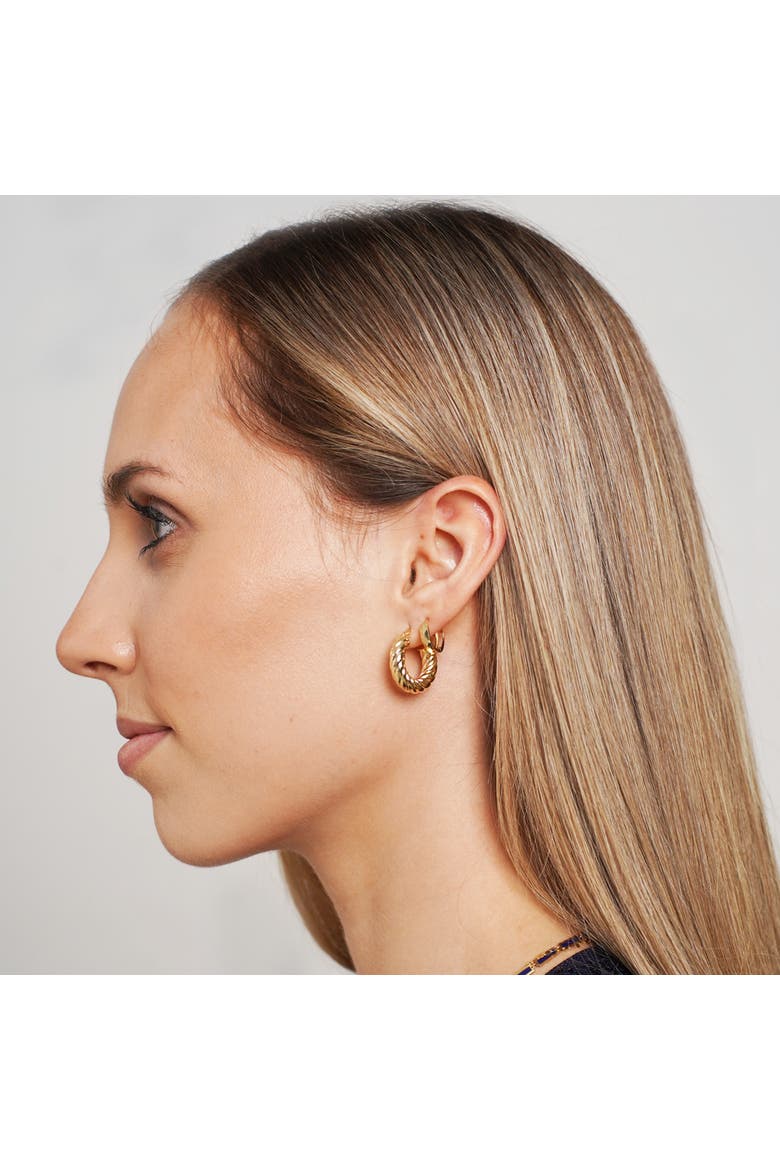 Croissant Hoop Earrings, Alternate, color, Yellow Gold
