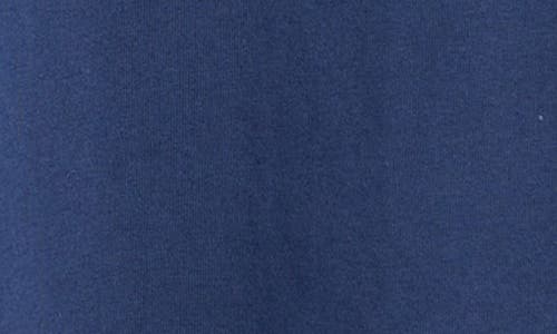 Carhartt Work In Progress Wild Dog Cotton Graphic T-shirt In Blue