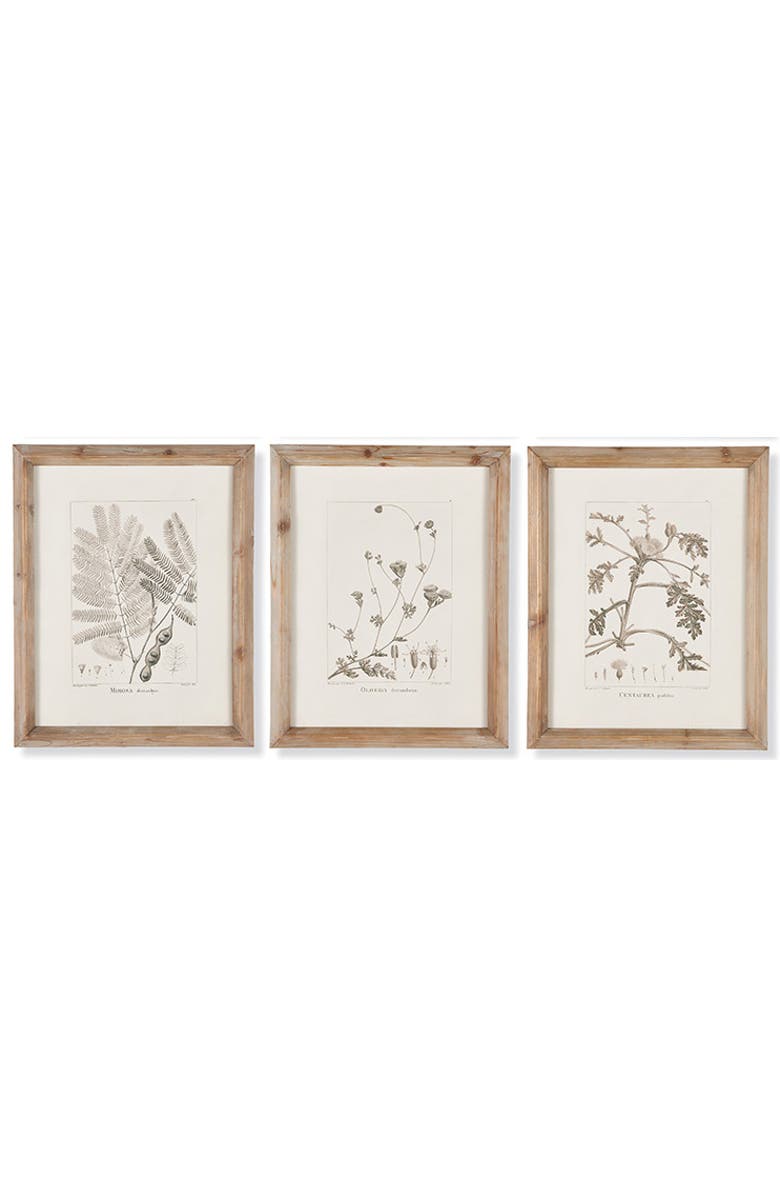 Napa Home & Garden Botanical Illustrations Set of 9, Alternate, color, Grey