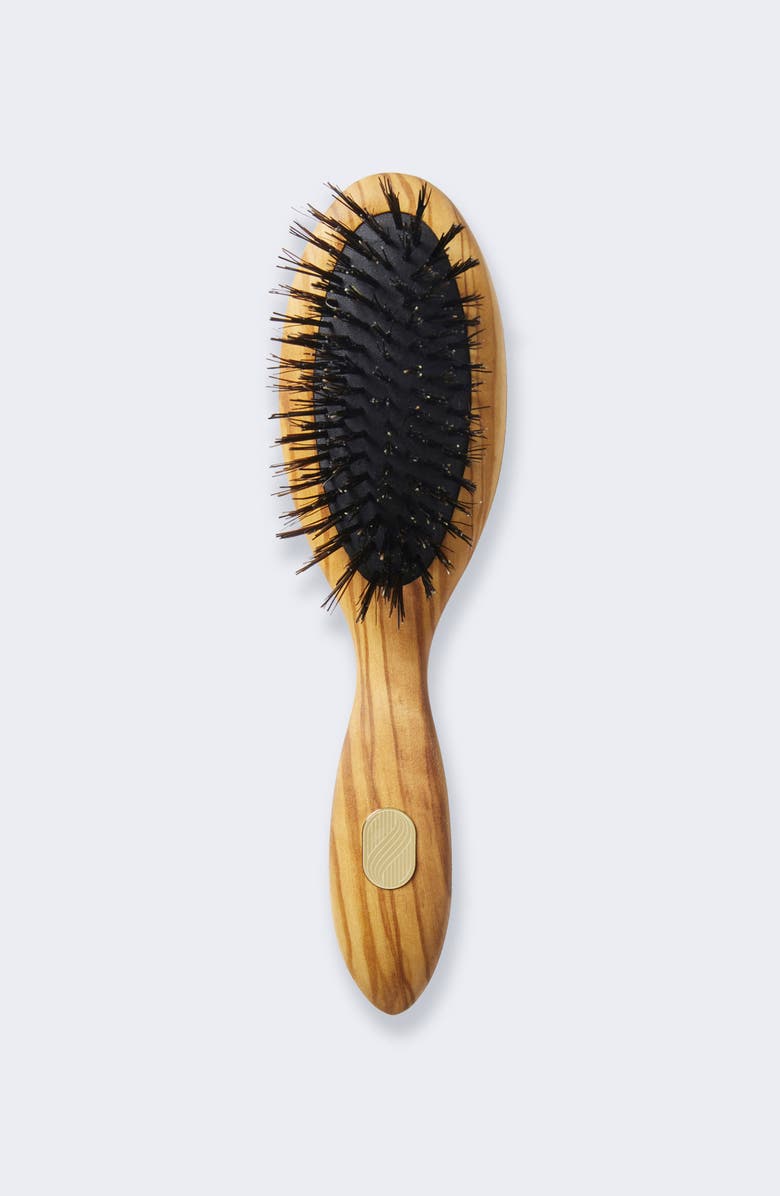 Altesse Studio Repair and Shine Brush - Fine To Medium, Main, color, NO COLOR