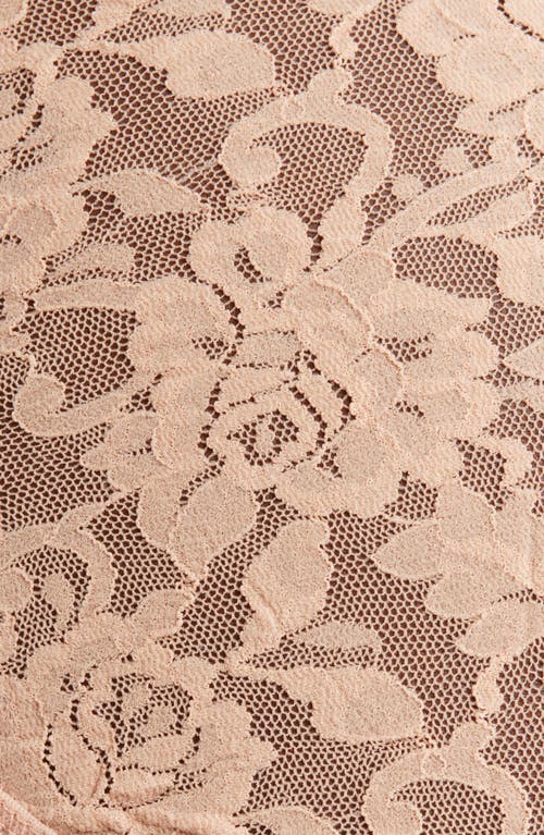Hanky Panky Signature Lace French Briefs In Neutral