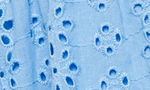 Flying Tomato Ruffle Embroidered Eyelet Cotton Fit & Flare Dress In Powder Blue