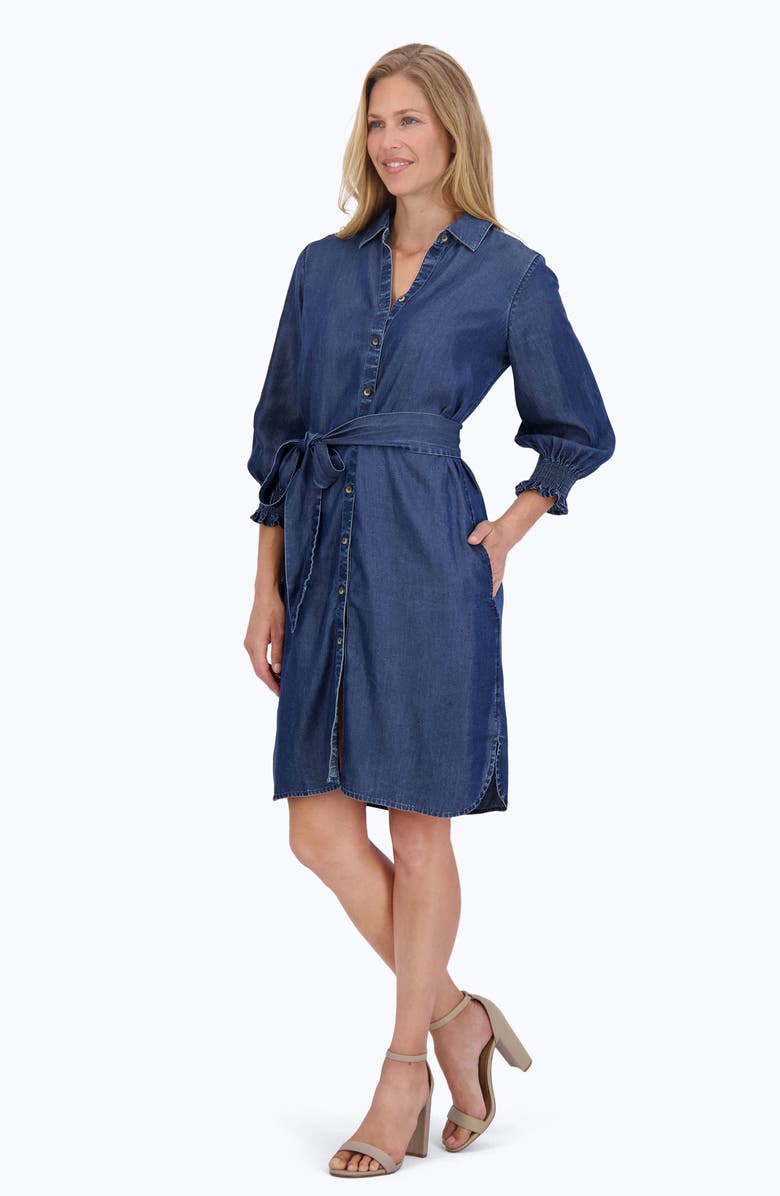 Foxcroft Abby Belted Long Sleeve Shirtdress, Alternate, color,