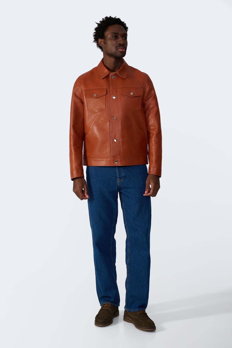 Jude Leather Jacket, Alternate, color, Whiskey