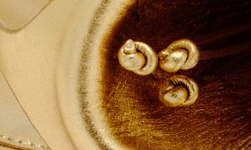 Cult Gaia Ria Calla Lily Slingback Sandal In Multi