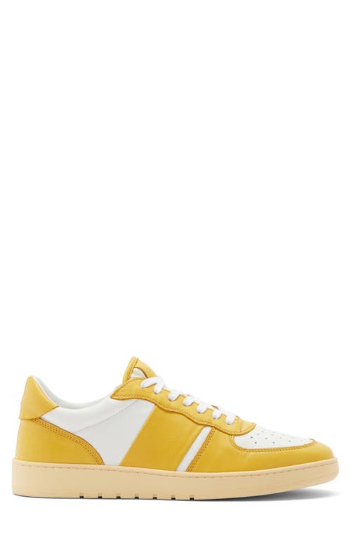 Collegium Pillar Destroyer Low Top Sneaker In Yellow