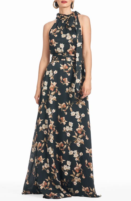 Sachin & Babi Kayla Floral Print Sleeveless Gown in Black Venetia Petals 