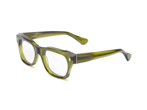 Caddis Muzzy | Reading Glasses
