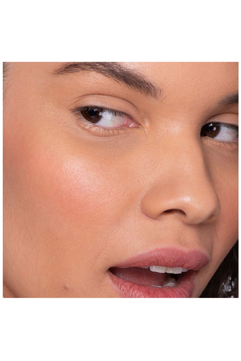 Cheek Blush, Alternate, color, GO GETTER