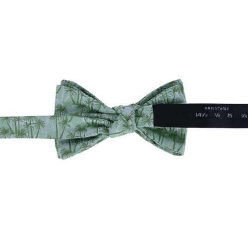 Trafalgar Nohea Palm Tree Linen Blend Novelty Bow Tie In Green
