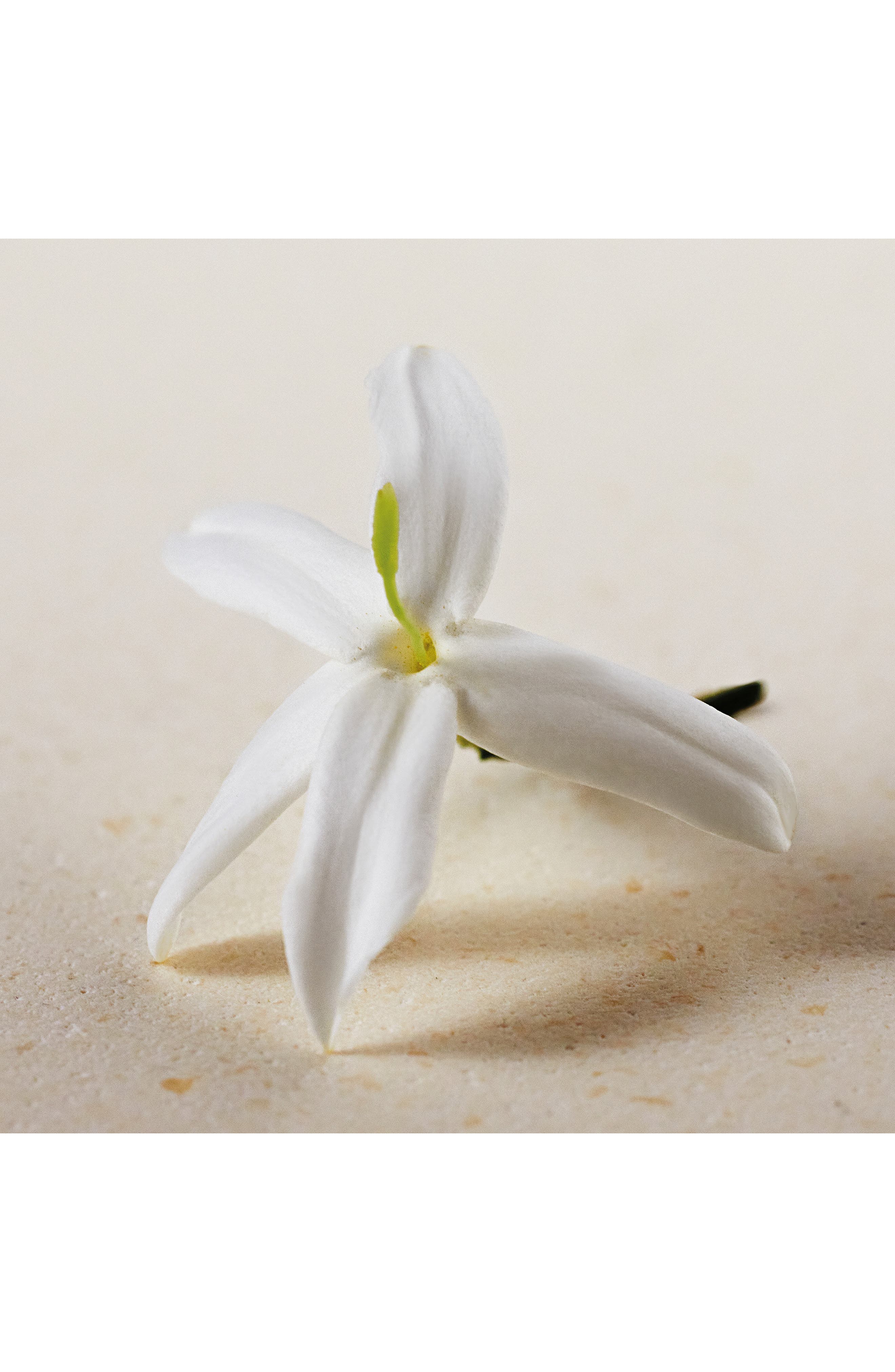 Atelier des Fleurs Jasminum Sambac Eau de Parfum (Women) | Nordstrom