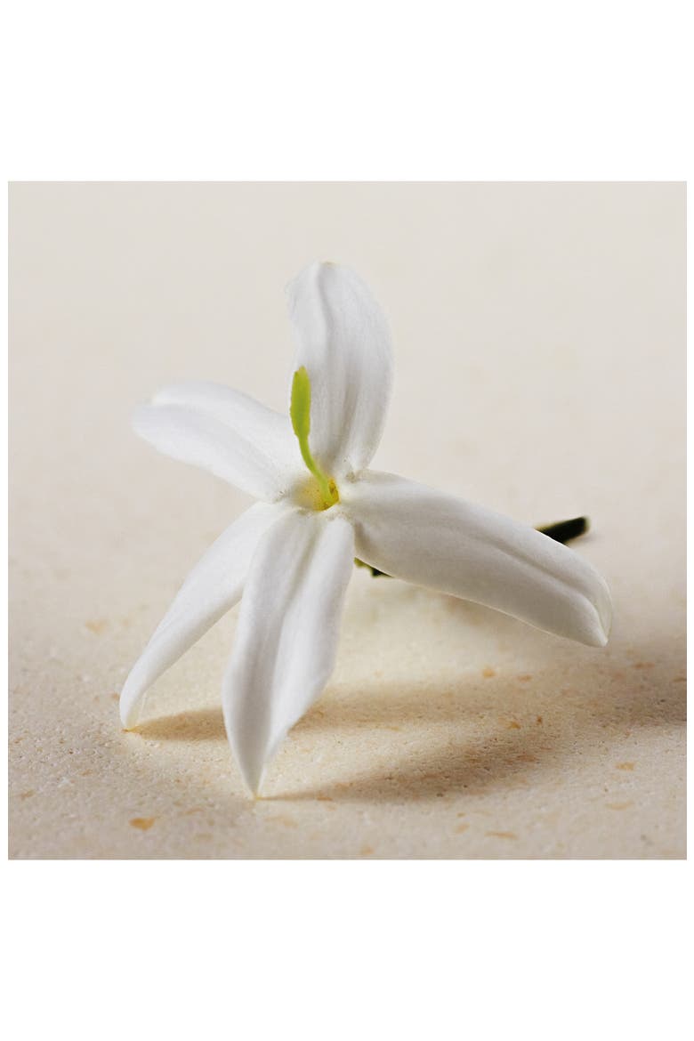 Atelier des Fleurs Jasminum Sambac Eau de Parfum, Alternate, color, NO COLOR