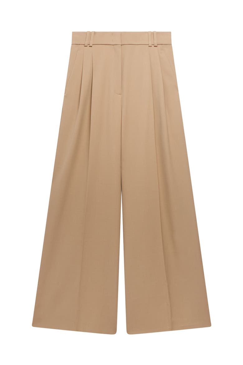 Twill Pleated Trouser, Alternate, color, Camel