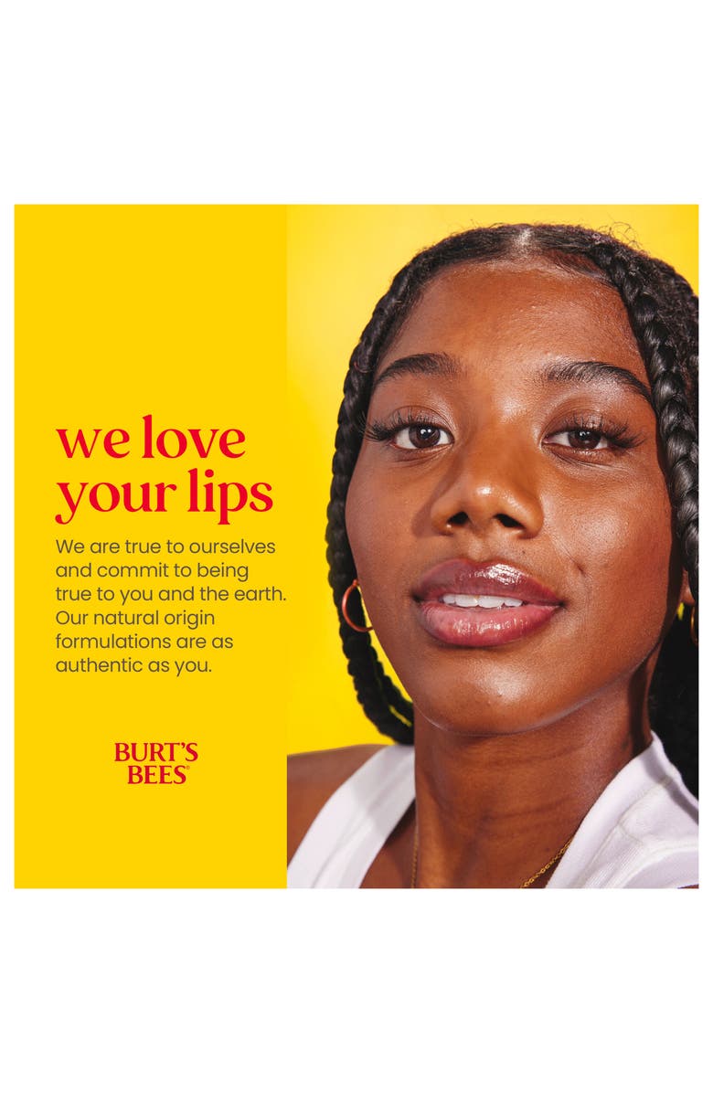 Burt's Bees Beeswax Bounty Lip Balm Gift Set, Alternate, color,