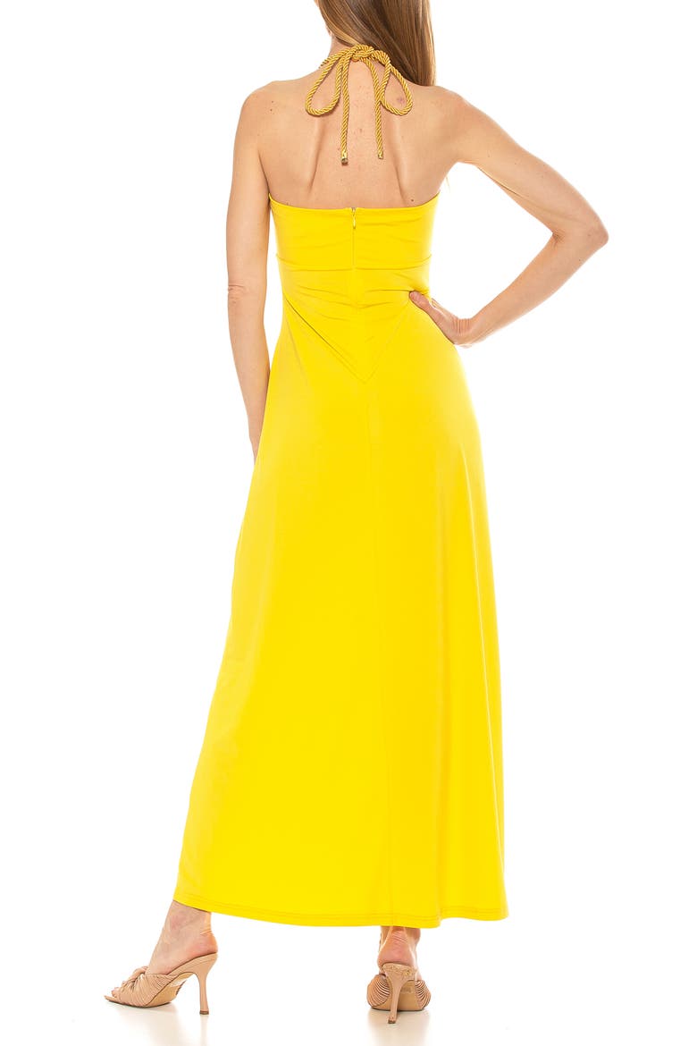 Selena Scoop Neck Maxi Dress, Alternate, color, YELLOW
