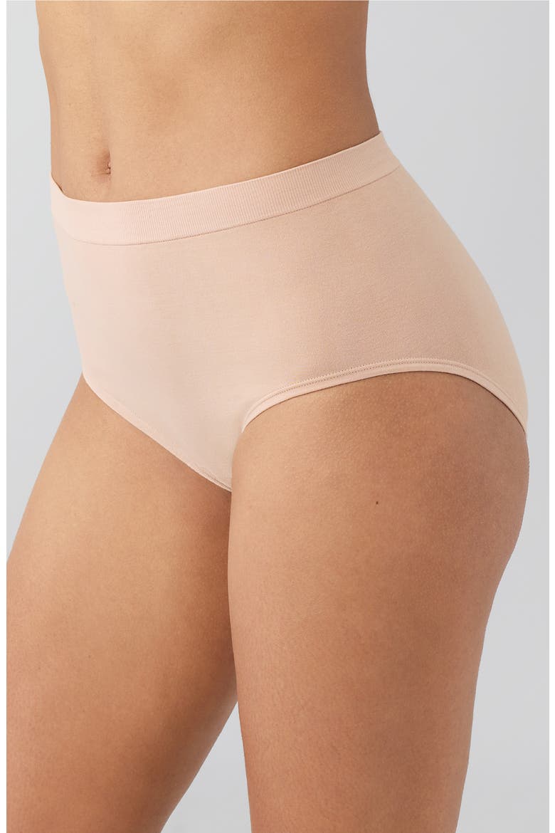 B-Smooth® Natural Briefs, Alternate, color, ROEBUCK