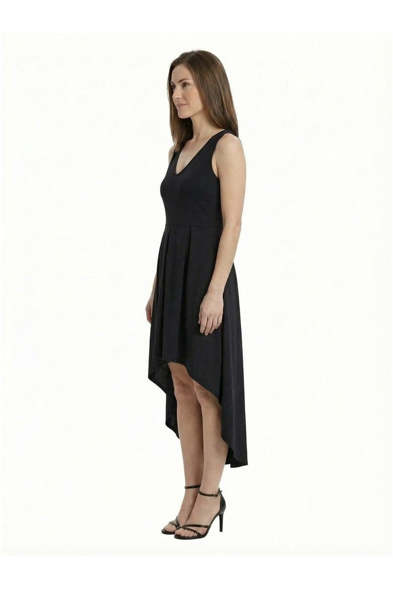 Elevate Petite Sleeveless V-Neck Pleated Fit N Flare Pocket Midi Dress, Alternate, color, Black