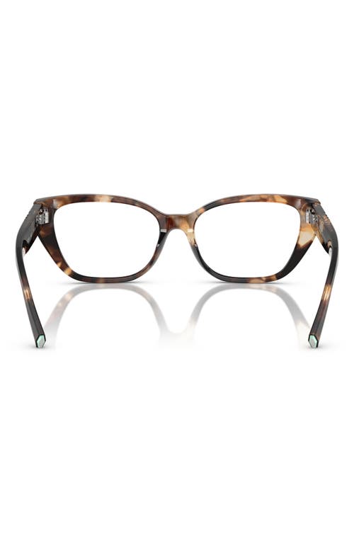 Tiffany & Co . 54mm Cat Eye Optical Glasses In Brown Havana