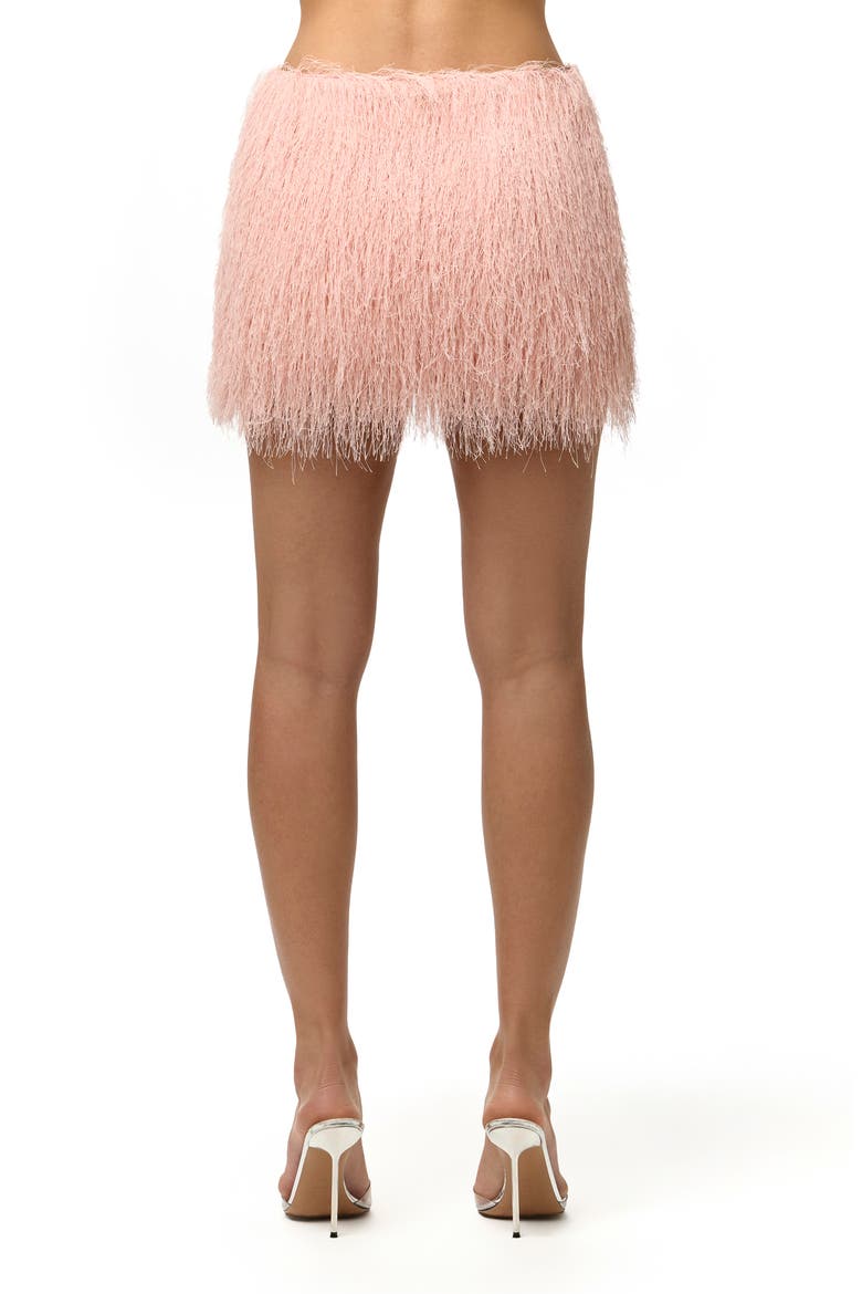 Fringe Miniskirt, Alternate, color, PEACH